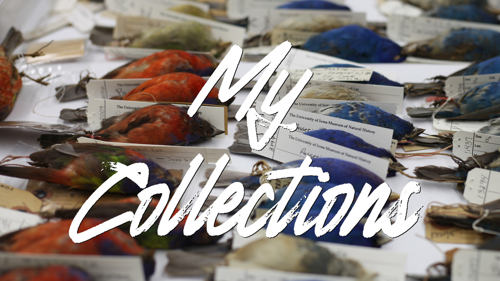 my collections