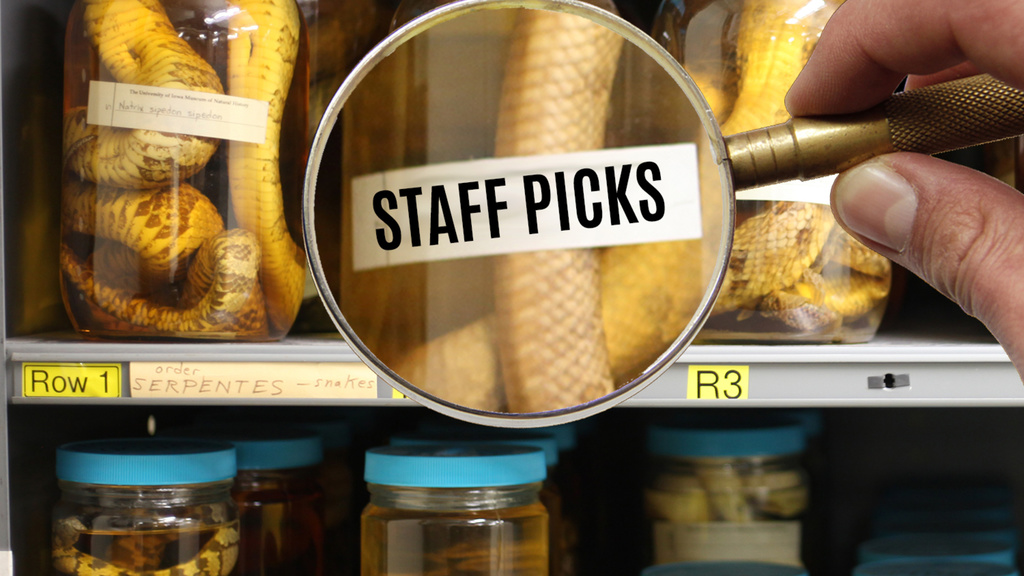Staff picks